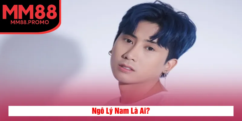 Khái quát về CEO Ngô Lý Nam